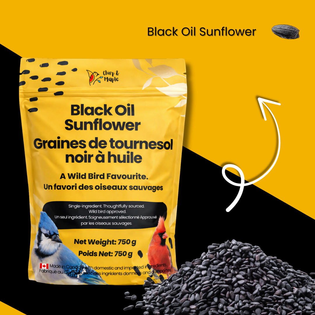 Black Oil Sunflower