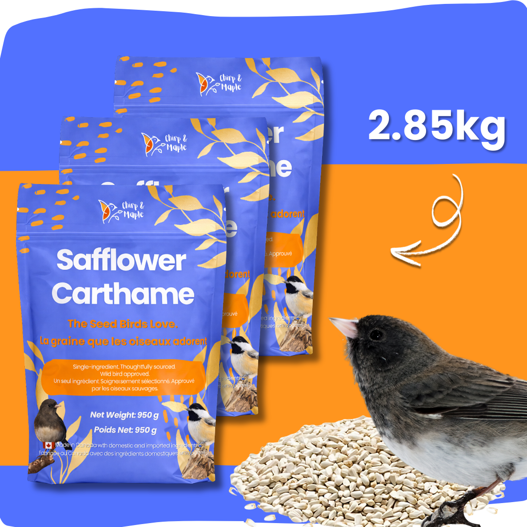 Safflower