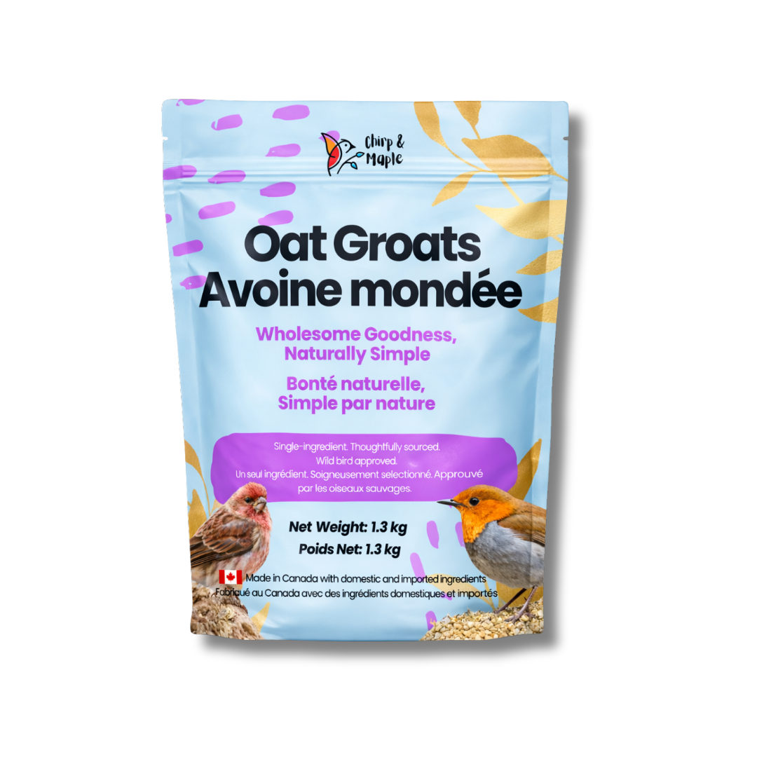 Oat Groats