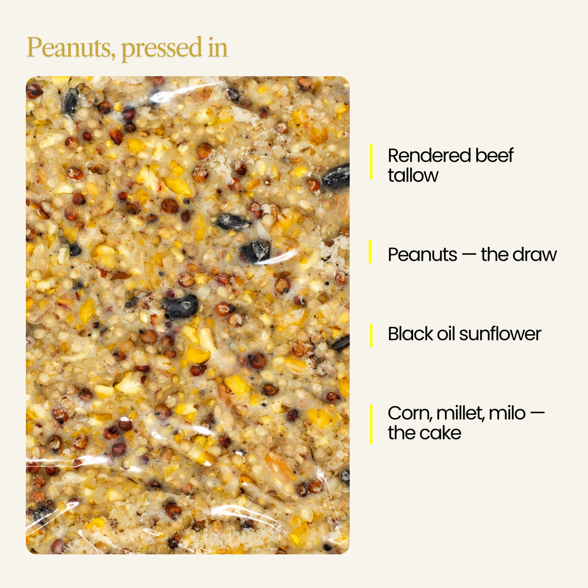 Peanut Perfection Suet Cake – 100% Premium Peanut Suet for Wild Birds