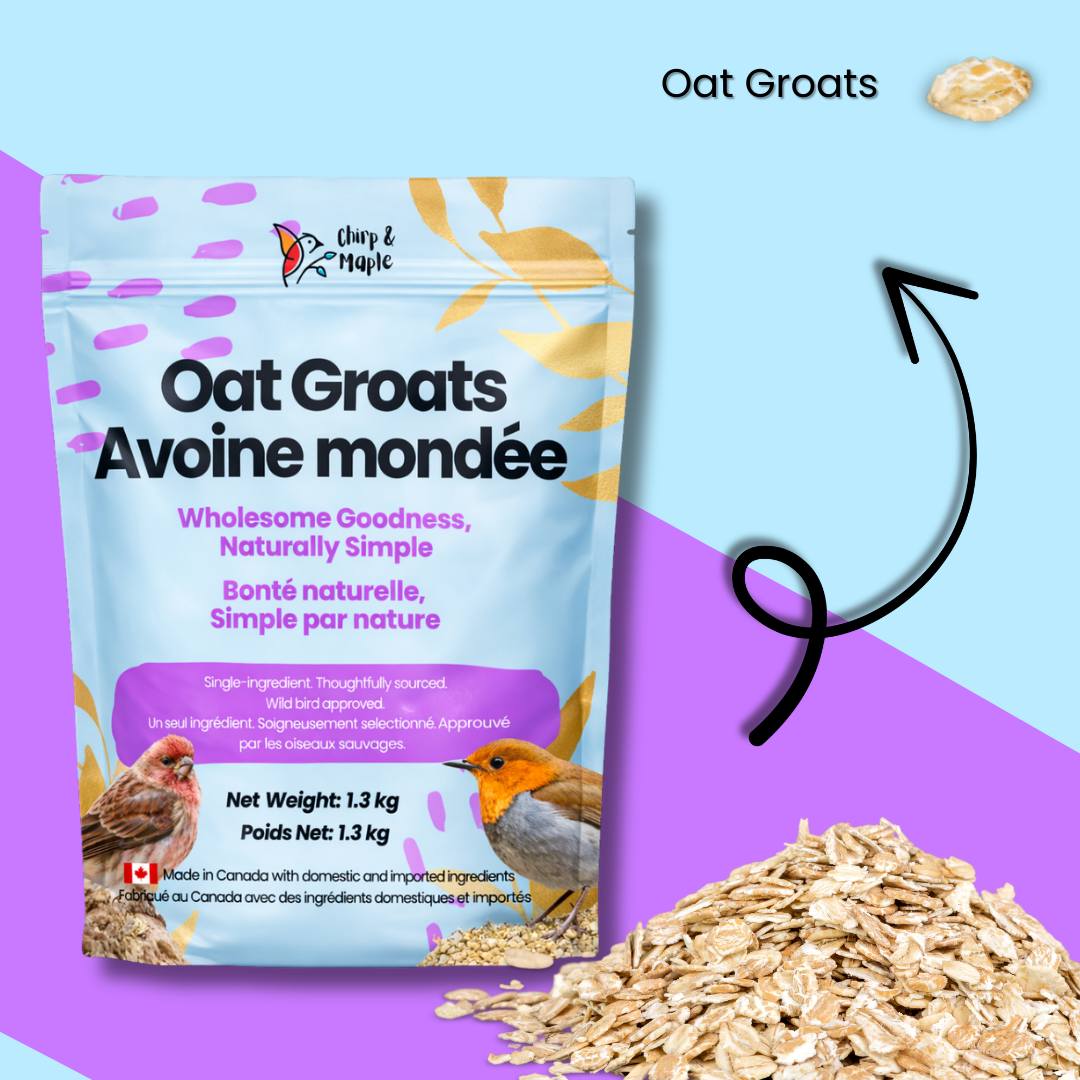 Oat Groats