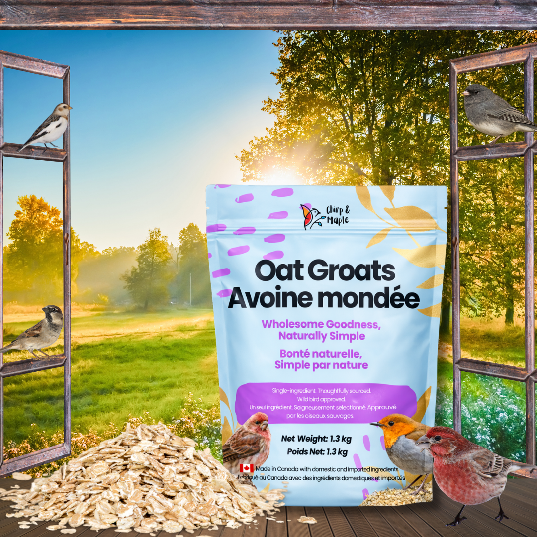 Oat Groats