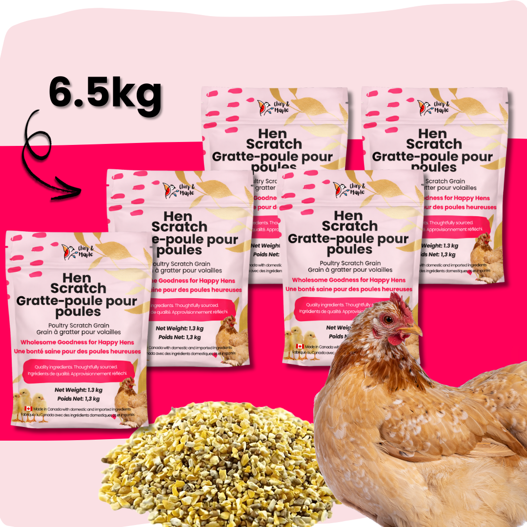 Hen Scratch