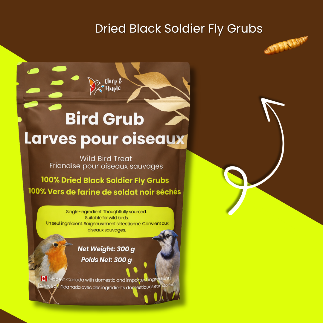 Bird Grub
