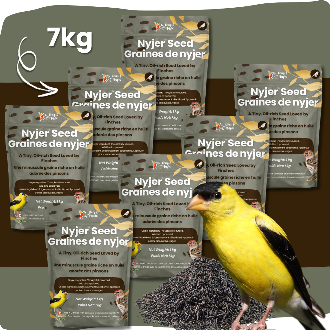 Nyjer Seed