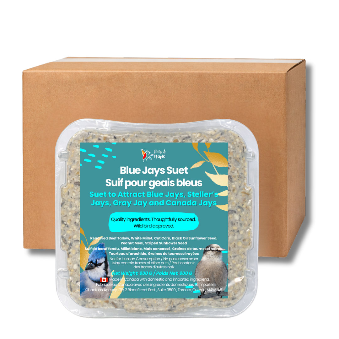 Blue Jays Suet Pack