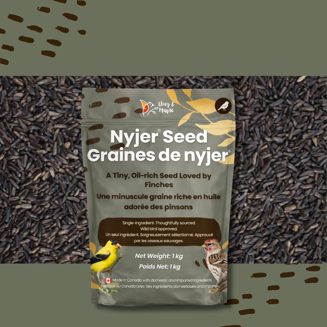 Nyjer Seed