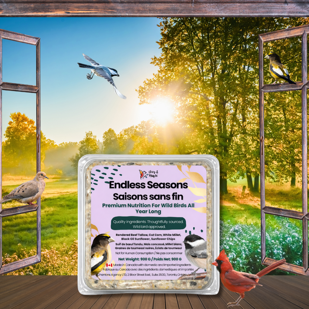 Endless Seasons Suet Pack