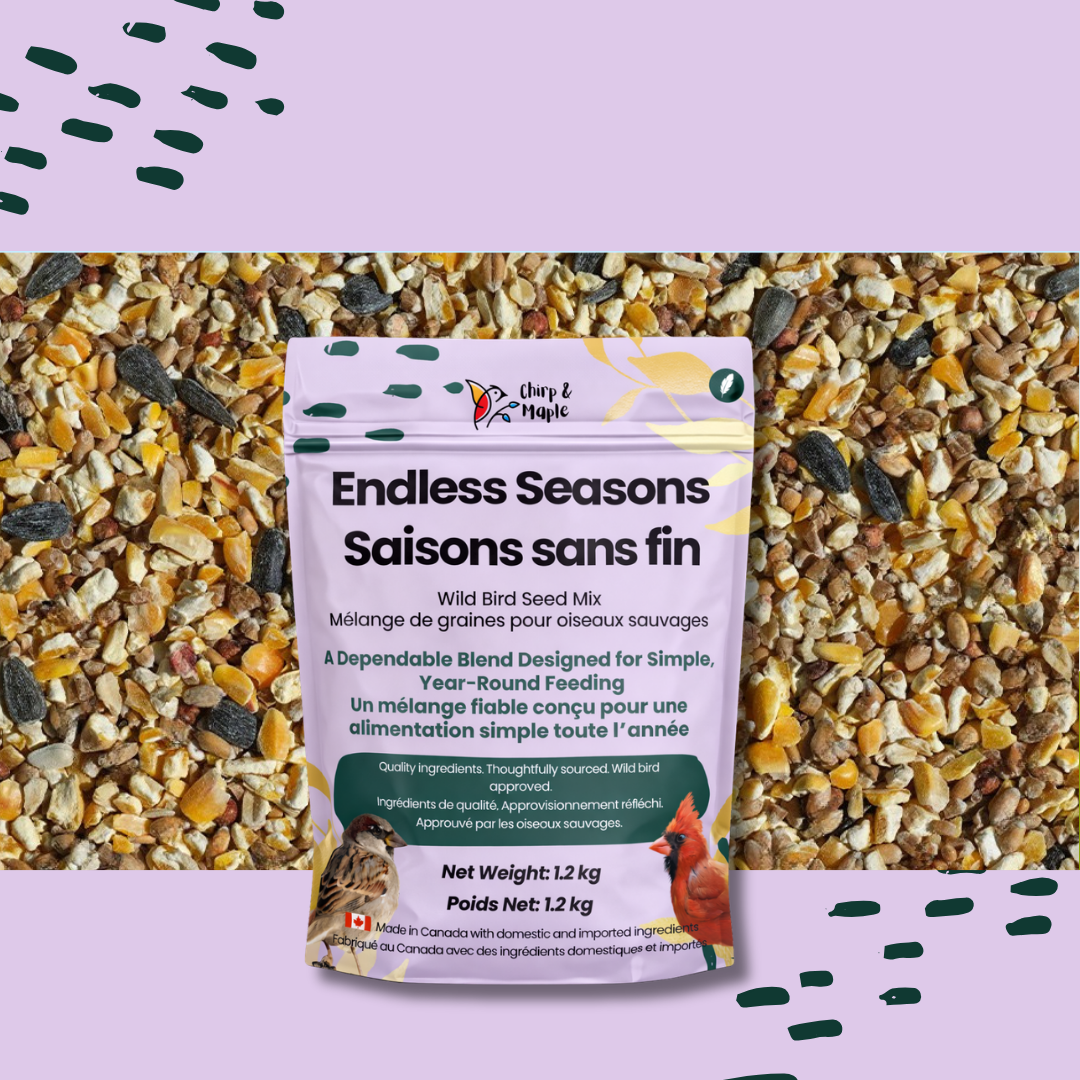 Endless Seasons