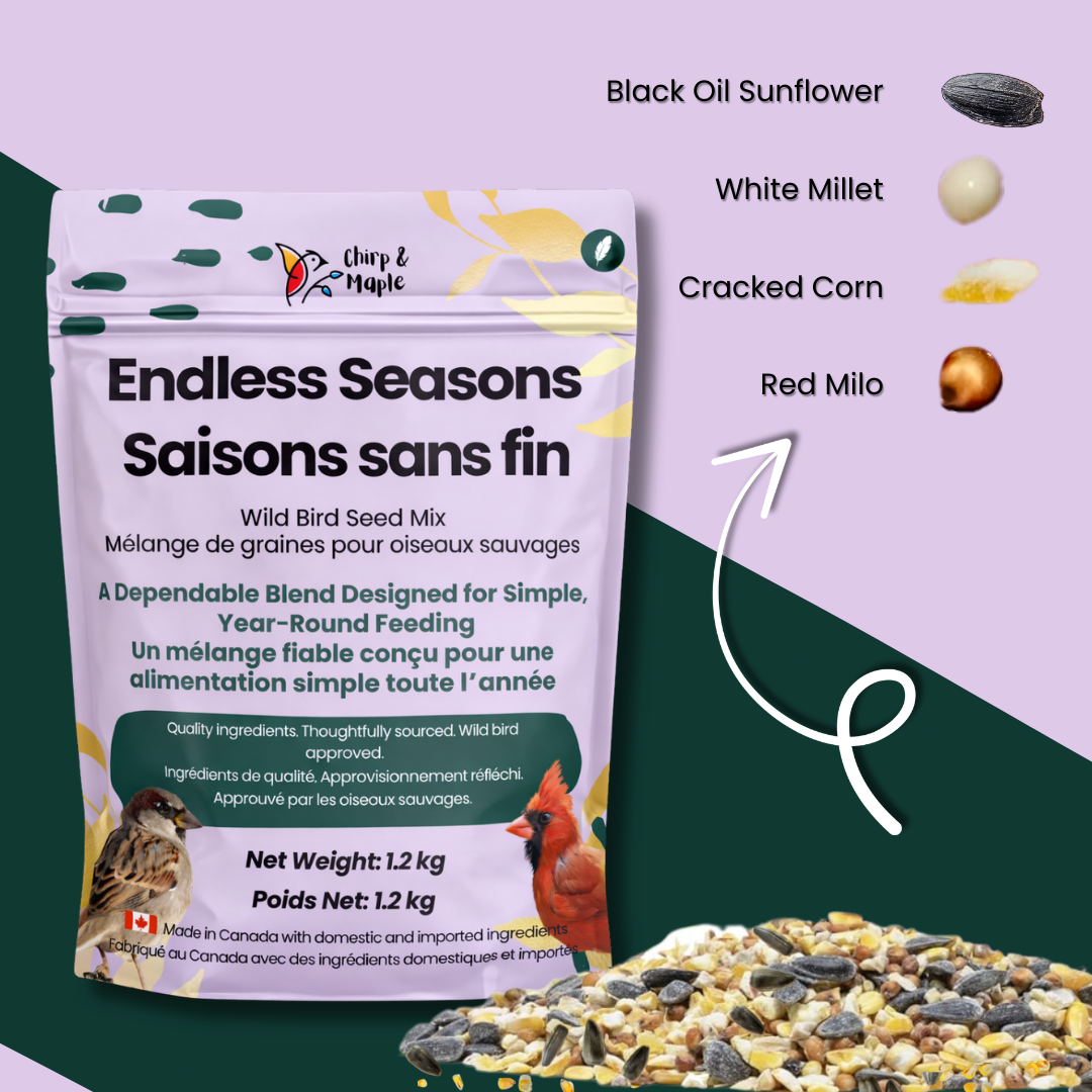 Endless Seasons