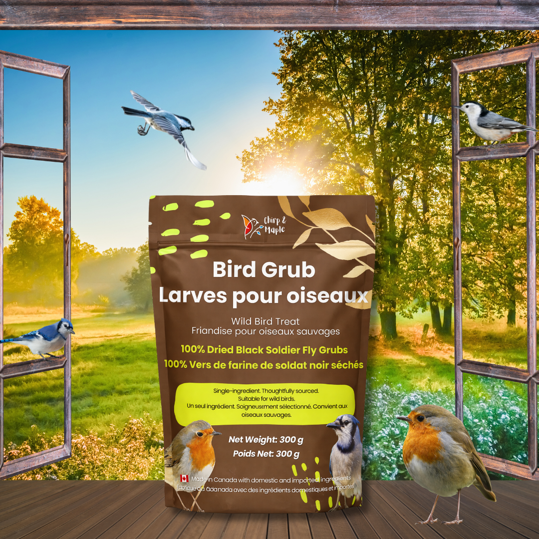 Bird Grub