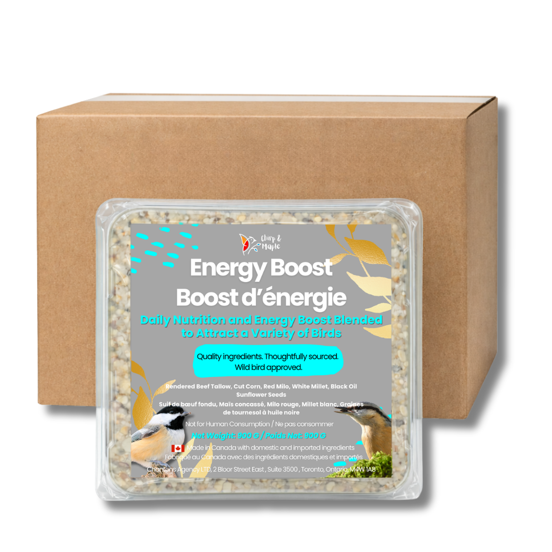 Energy Boost Suet Pack