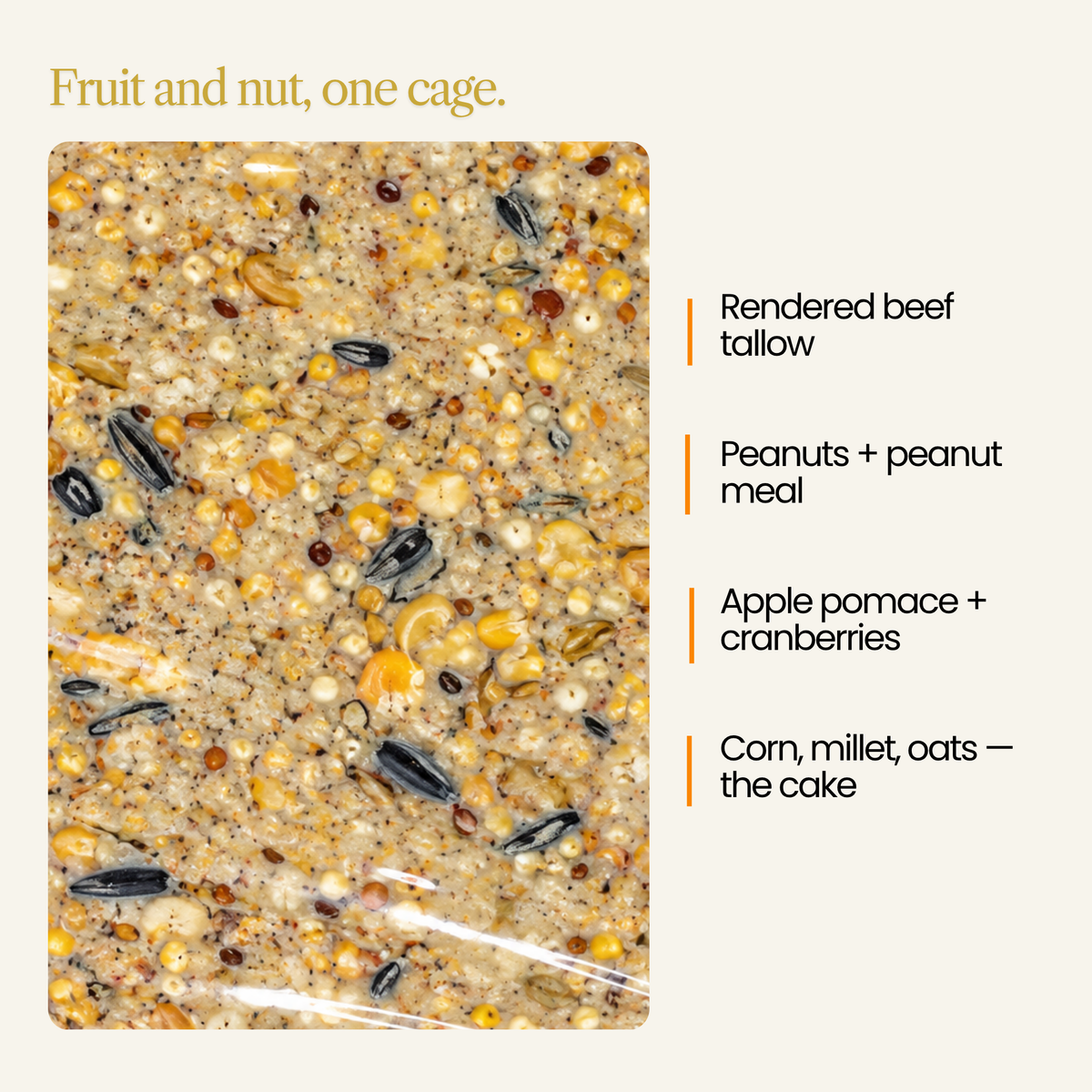 Woodpecker's Wonder Suet Cake – Peanuts, Walnuts & Dried Fruit