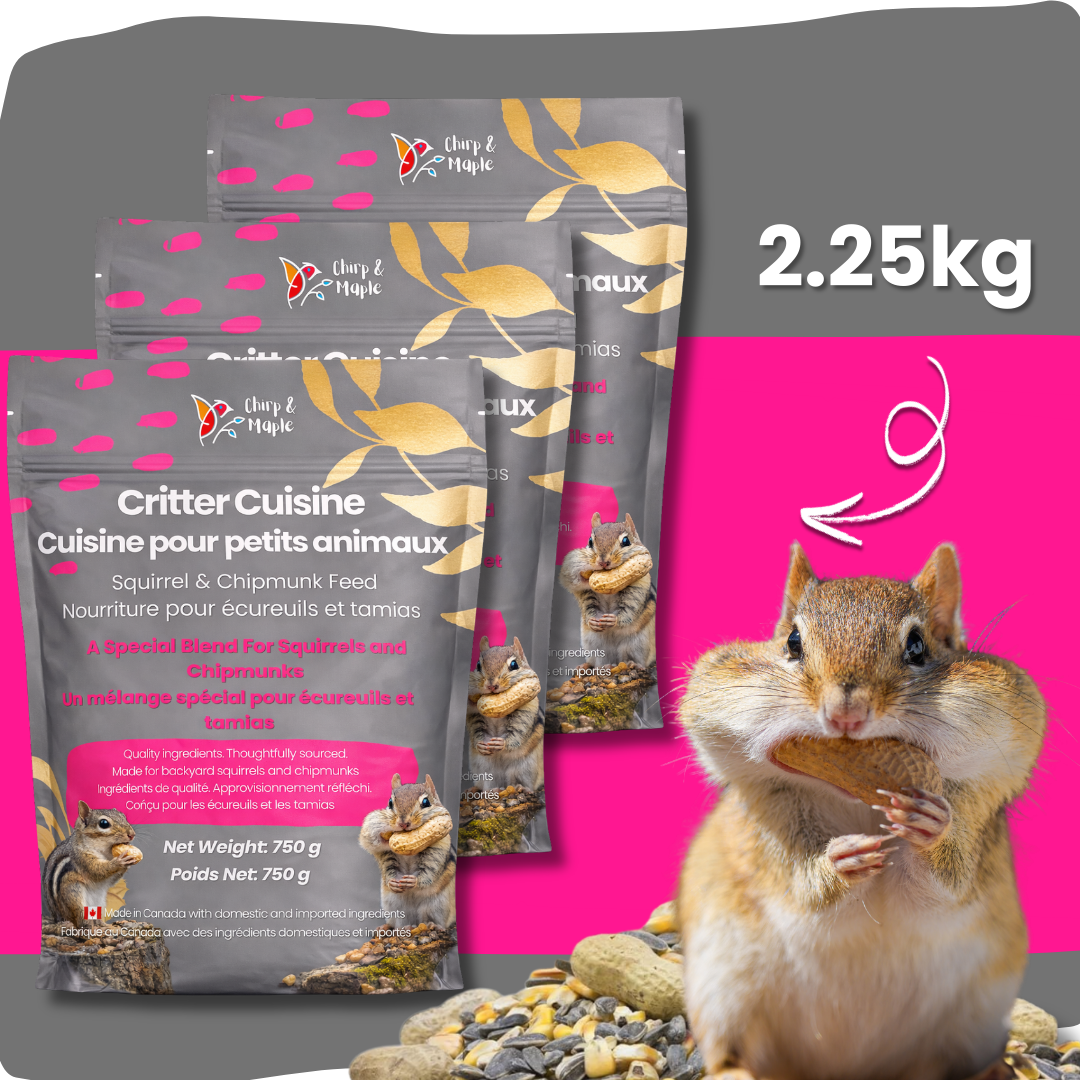 Critter Cuisine