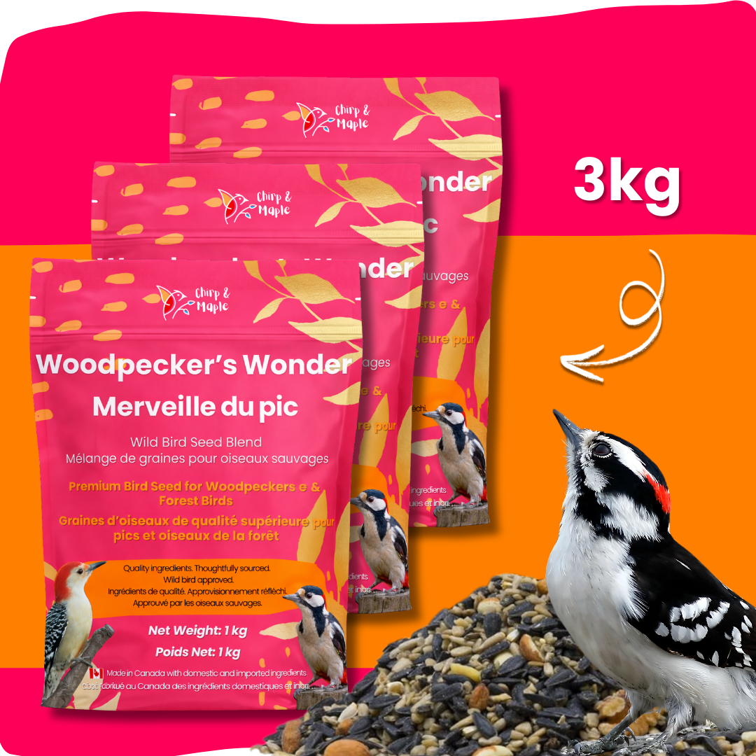 Woodpecker’s Wonder