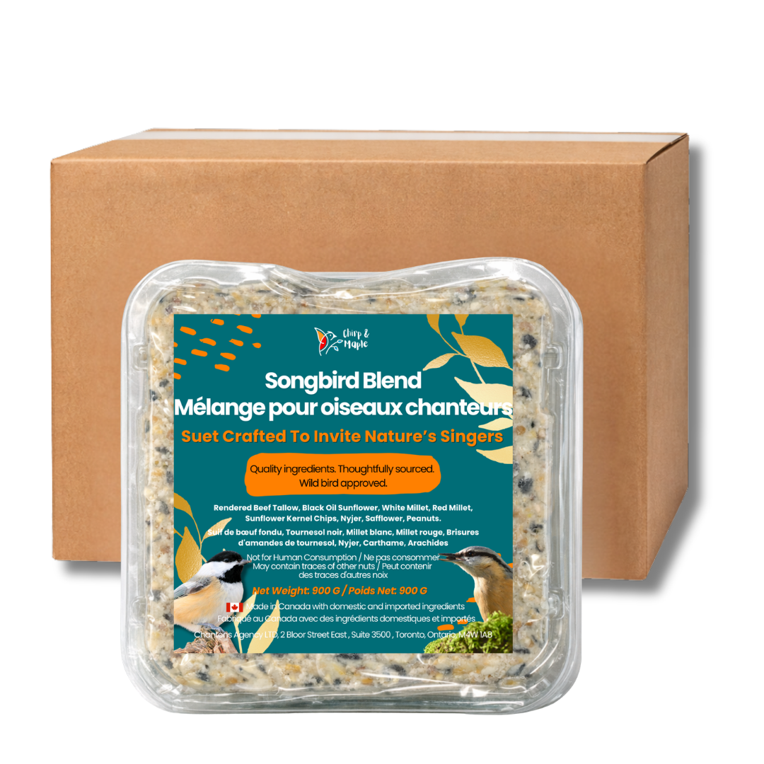 Songbird Blend Suet Pack
