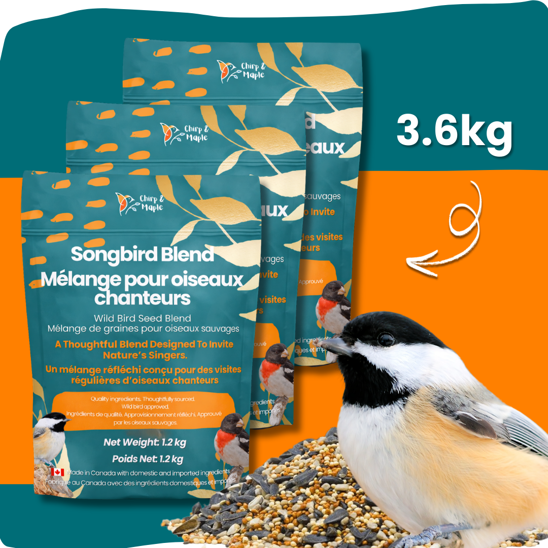 Songbird Blend