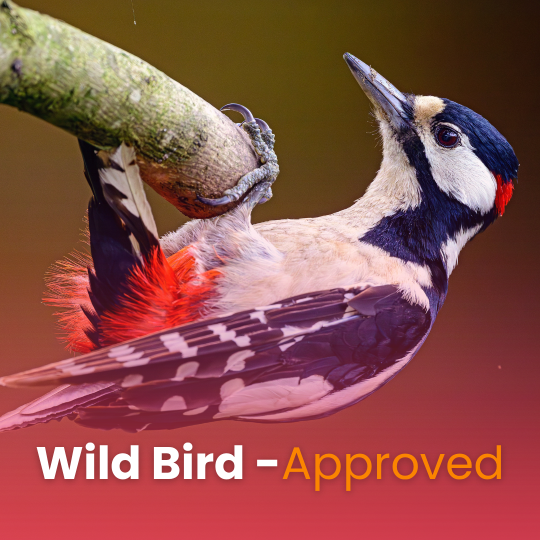 Woodpecker’s Wonder Suet Pack