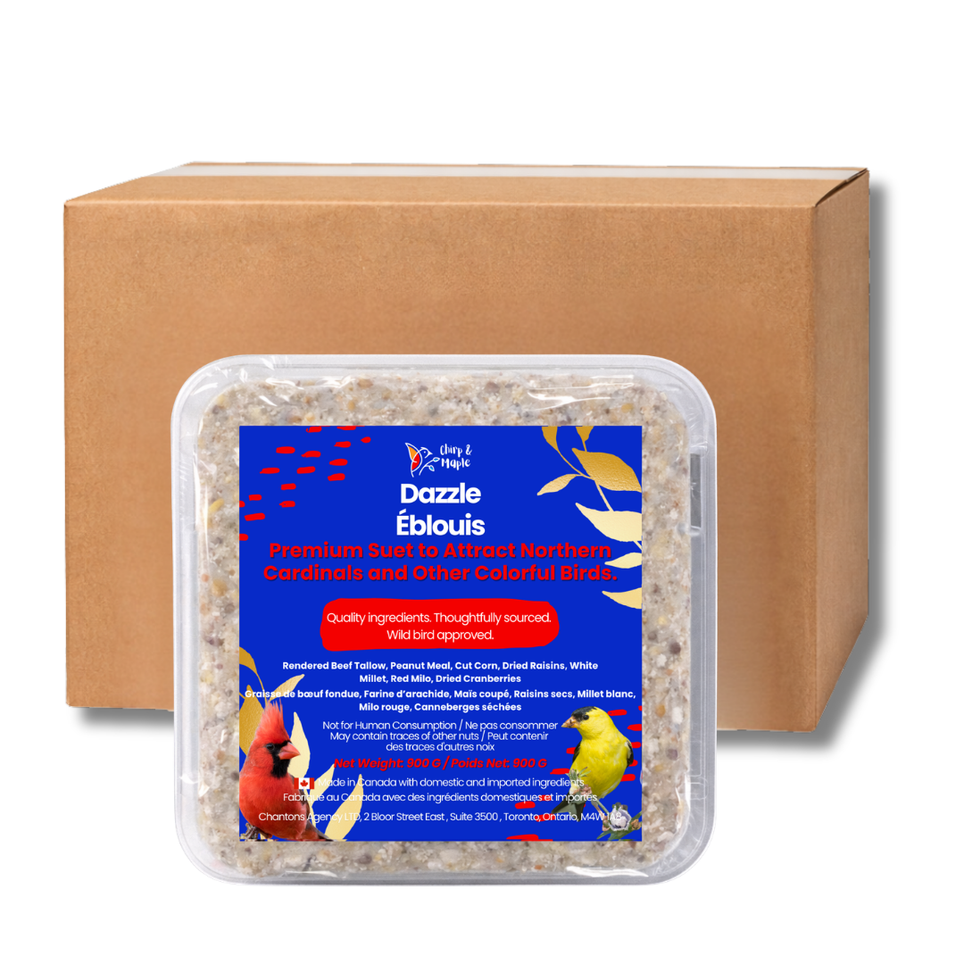 Dazzle Suet Pack