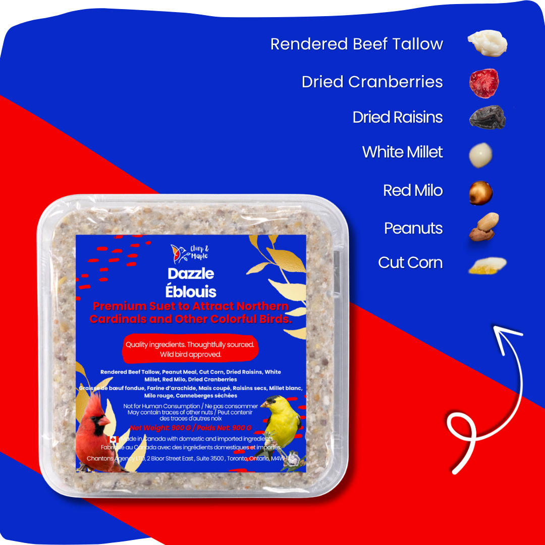Dazzle Suet Pack