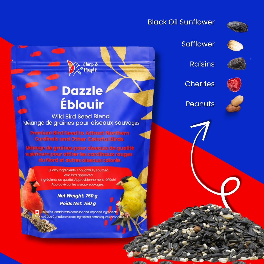 Dazzle