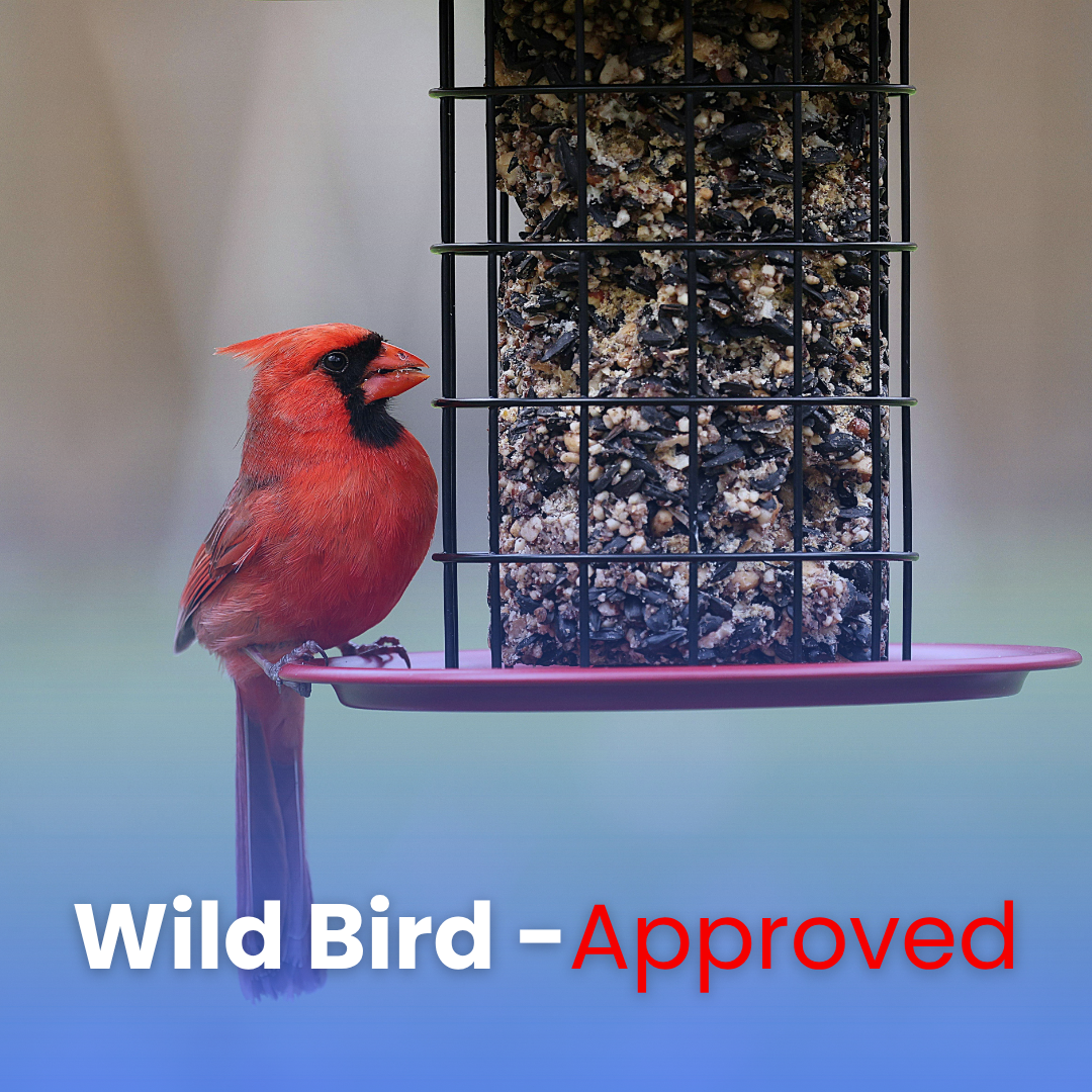 Dazzle Suet Pack