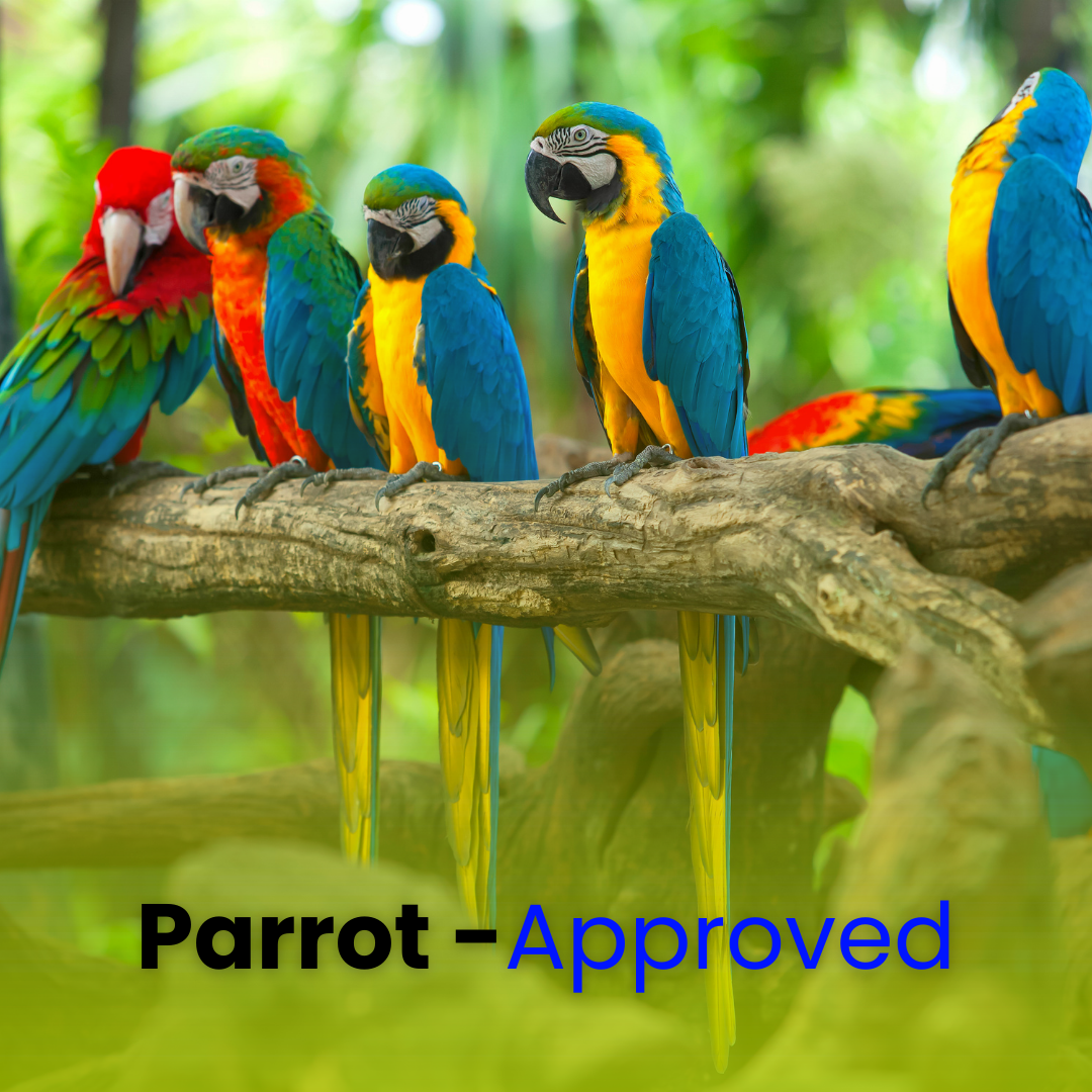 Parrot Food – Complete Daily Nutrition