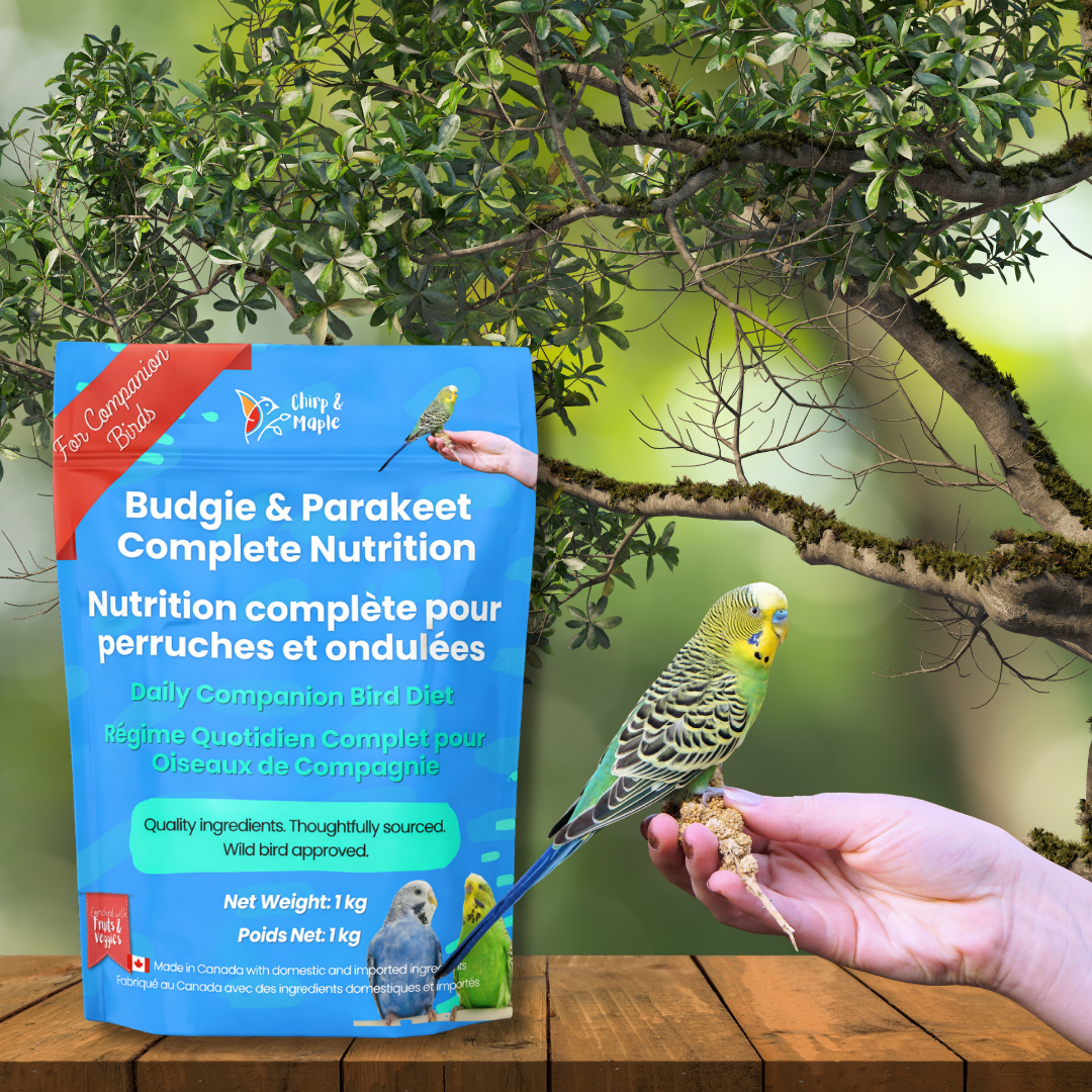 Budgie & Parakeet Food – Complete Nutrition