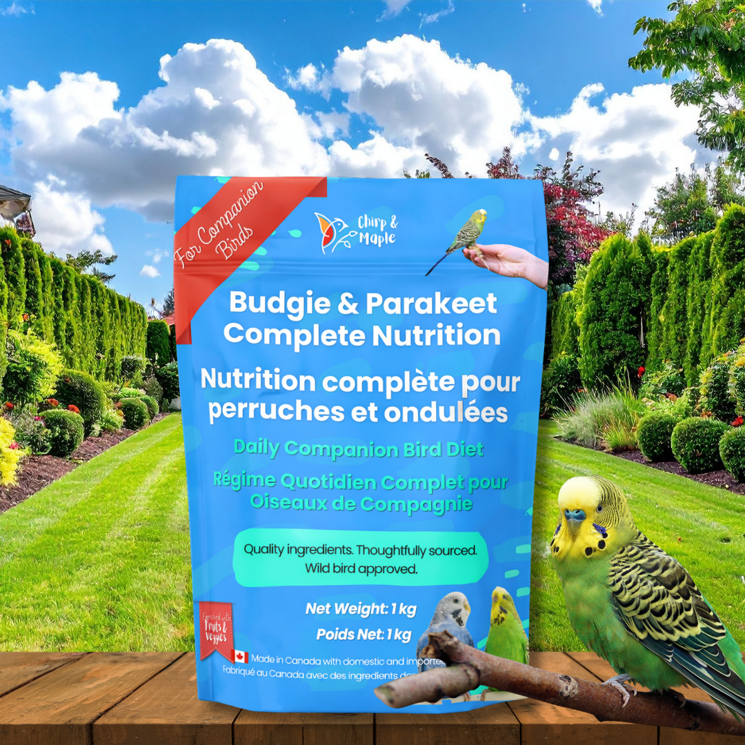 Budgie & Parakeet Food – Complete Nutrition