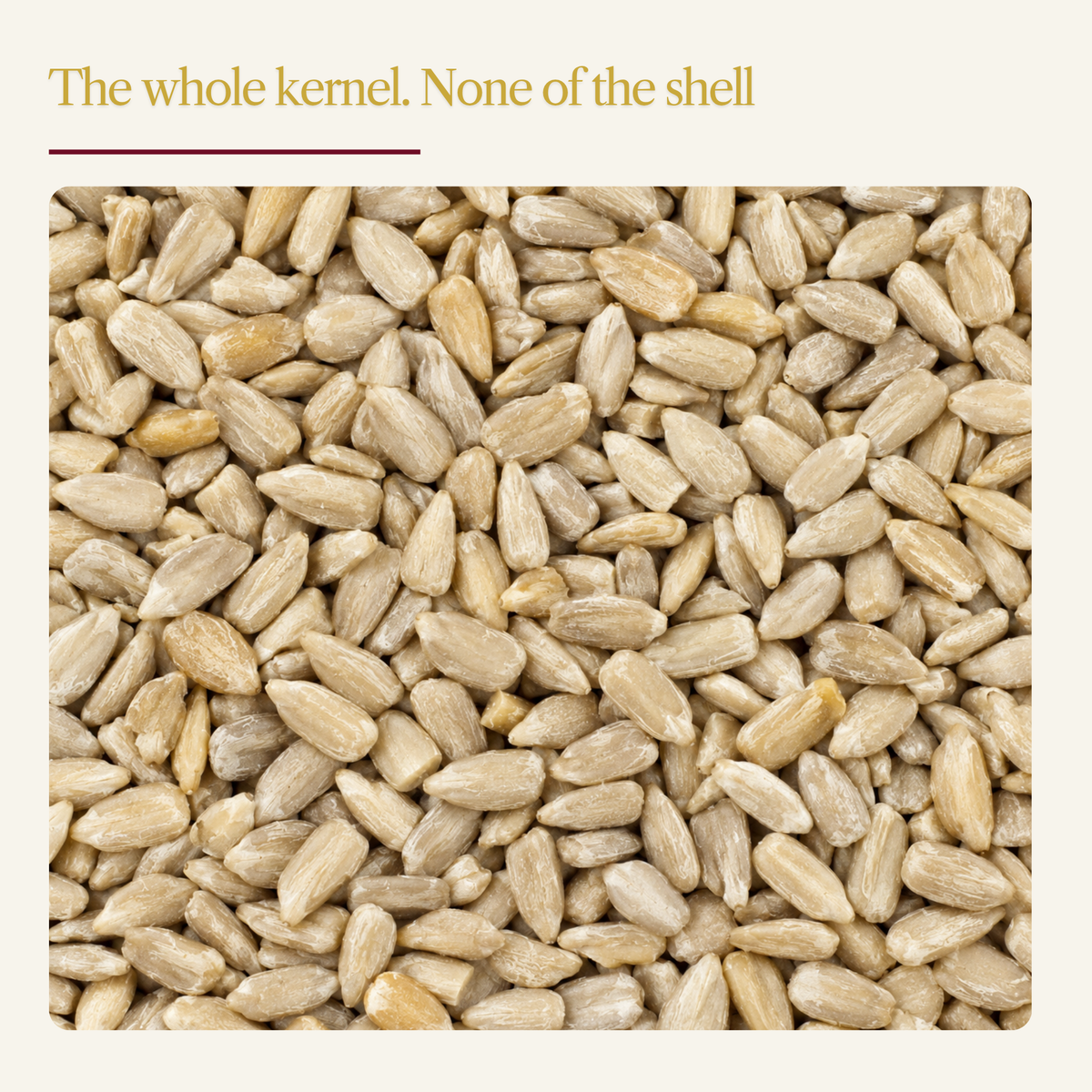 Sunflower Hearts for Wild Birds – Shell-Free, 100% Whole Sunflower Kernels