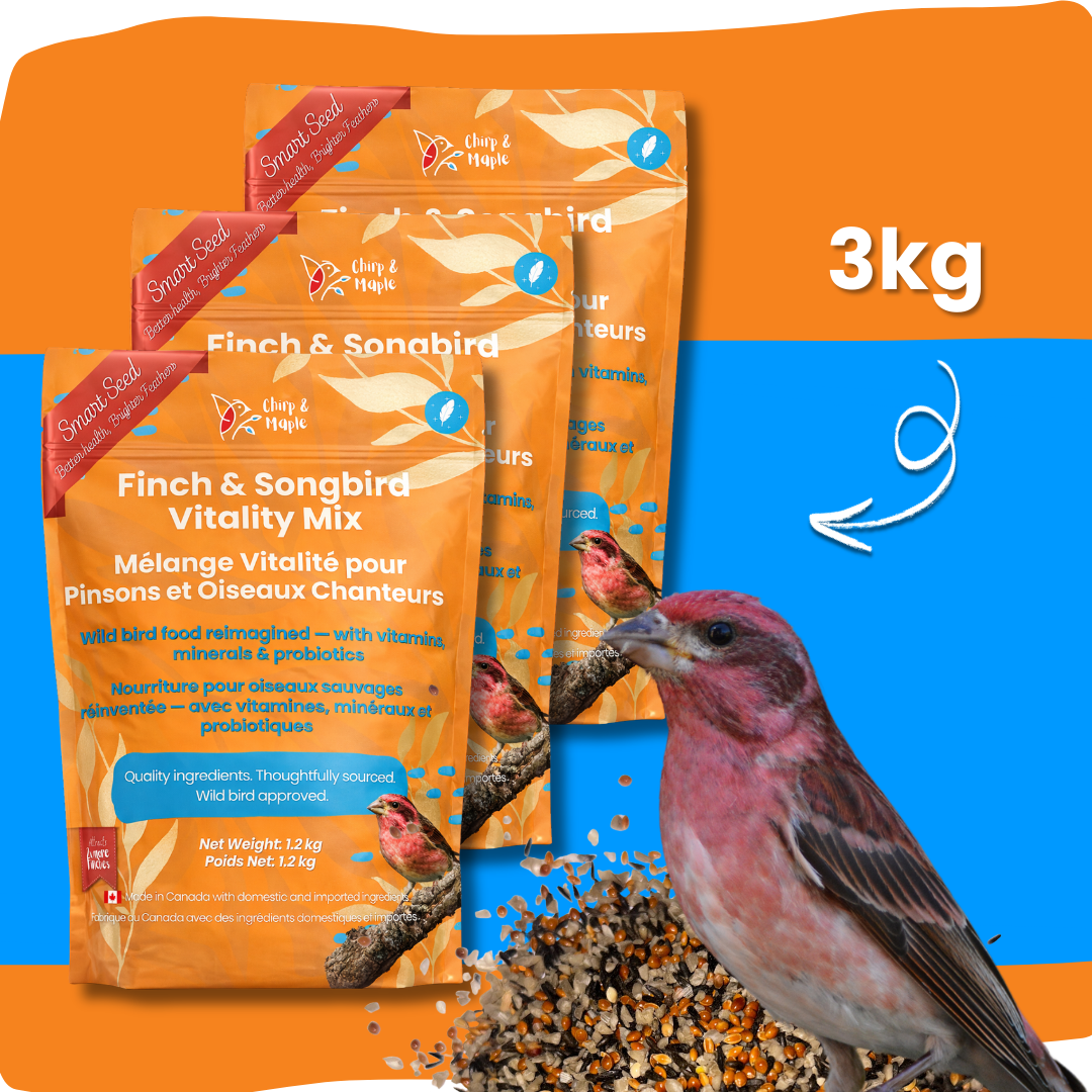 Finch & Songbird Vitality