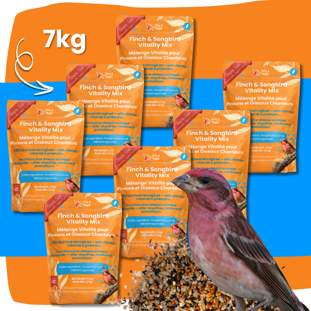Finch & Songbird Vitality