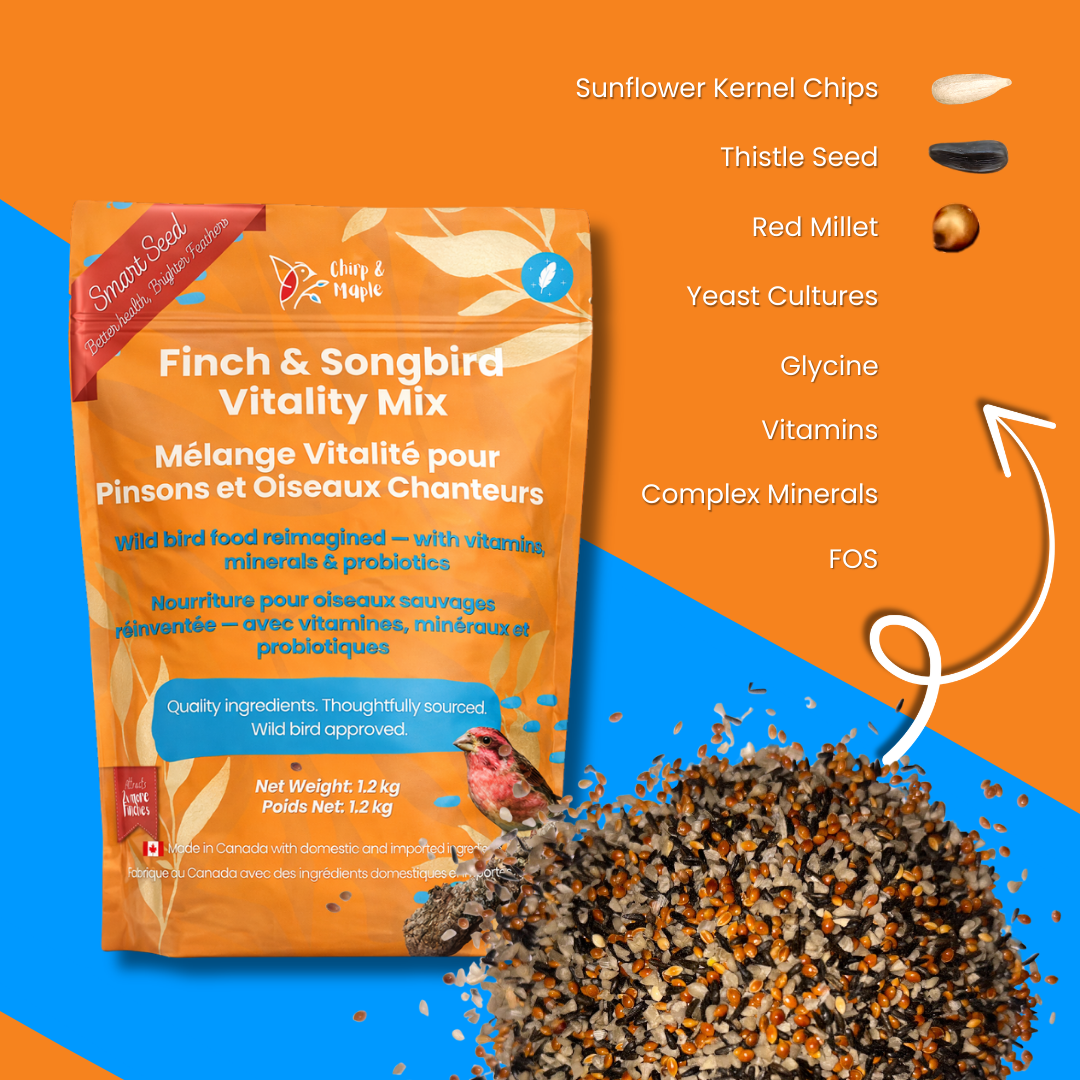 Finch & Songbird Vitality