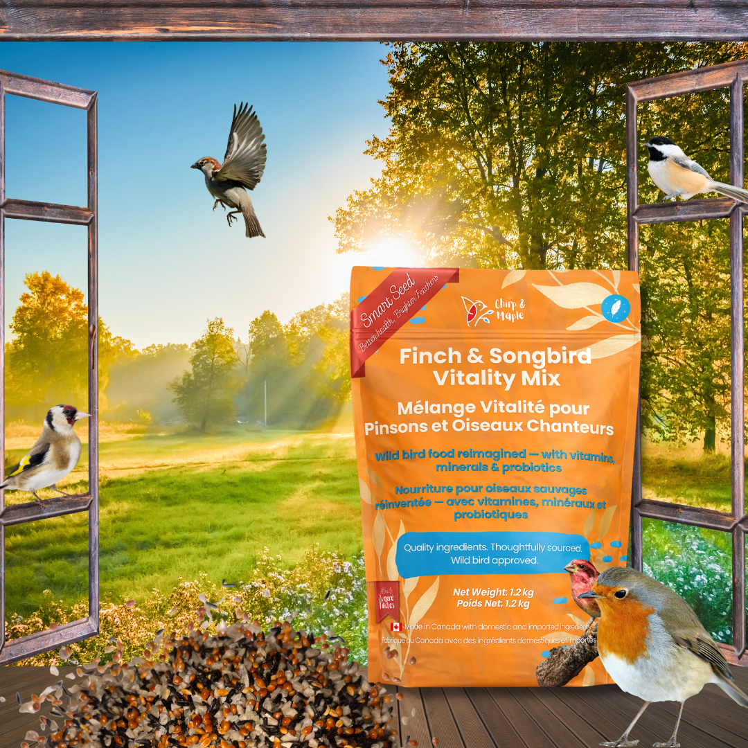 Finch & Songbird Vitality