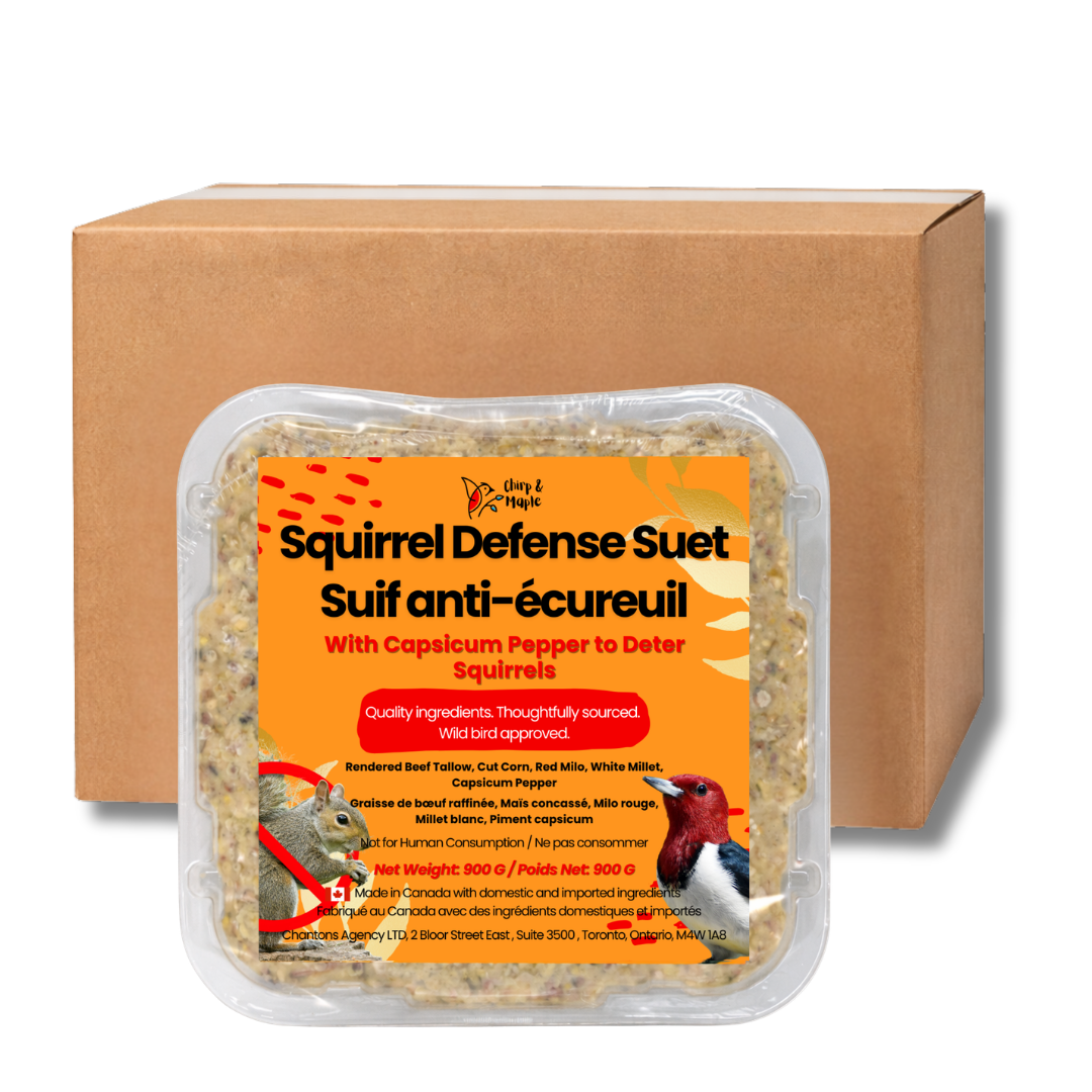 Squirrel Defense Suet