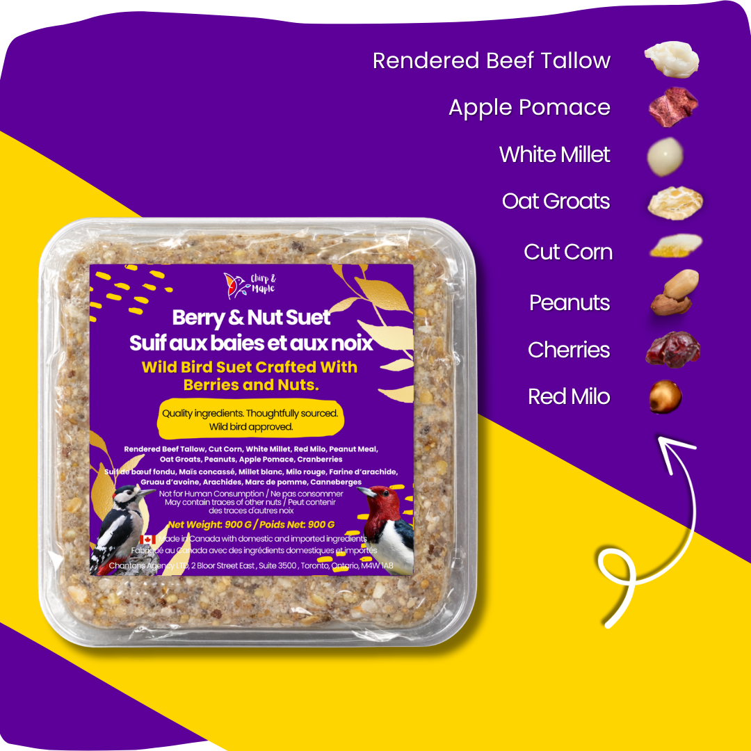Berry & Nut Suet Pack