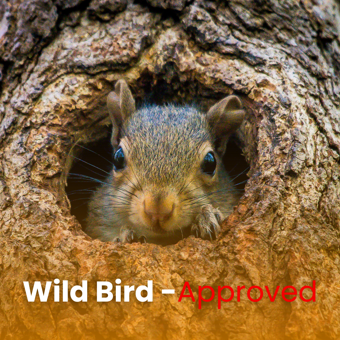 Squirrel Defense Suet