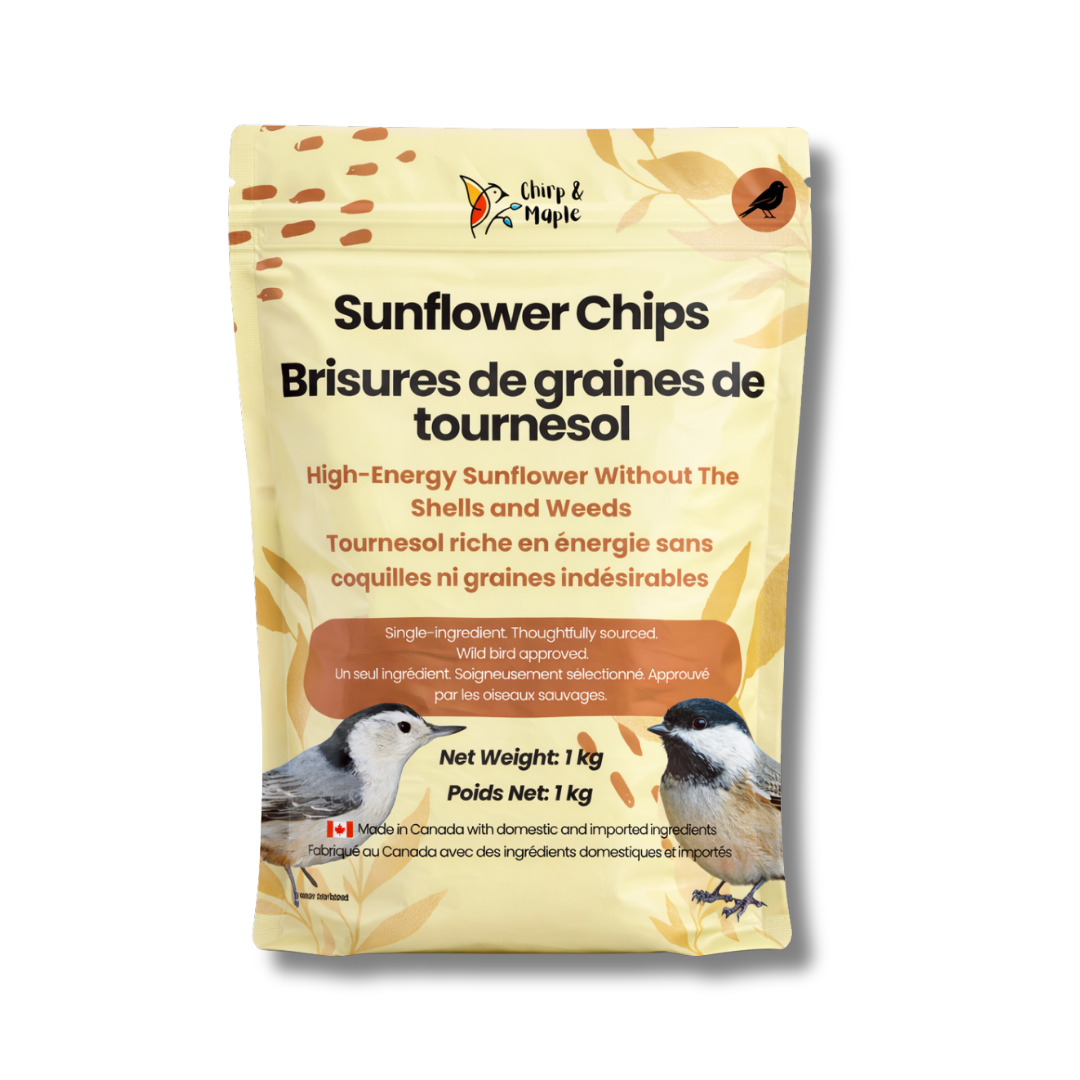 No-Mess Bird Feeding Starter Kit – Clean Patio Setup