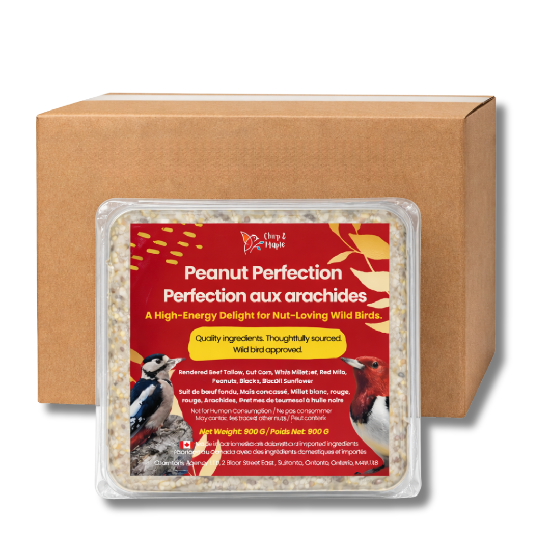 Peanut Perfection Suet Pack