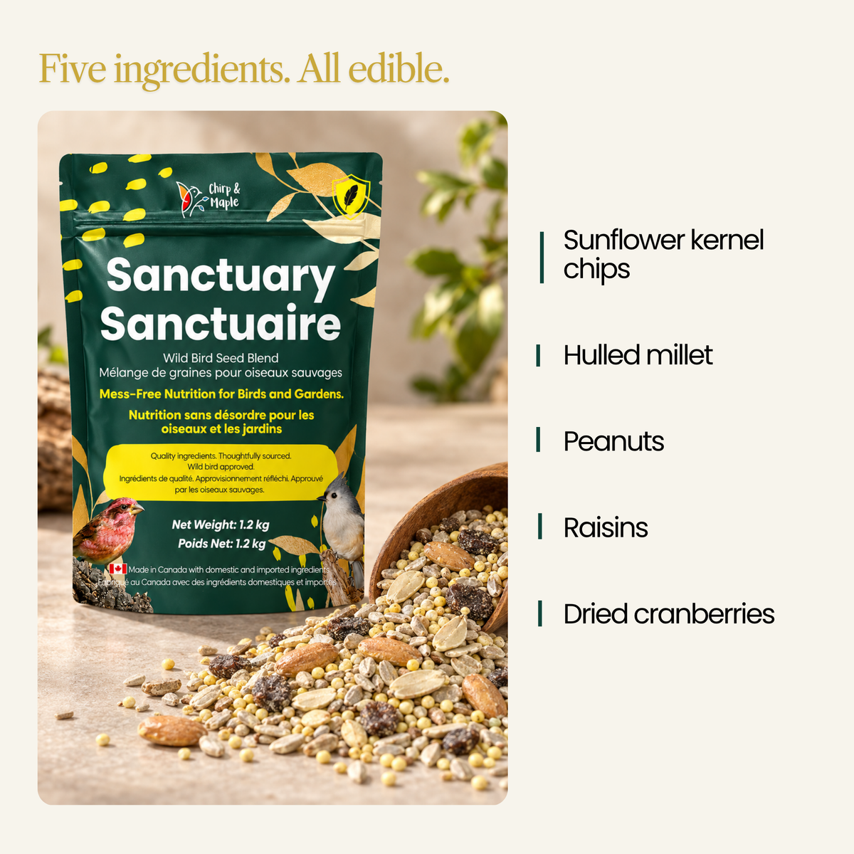 Sanctuary No-Mess Wild Bird Seed Mix – No Sprout, Garden-Safe Blend