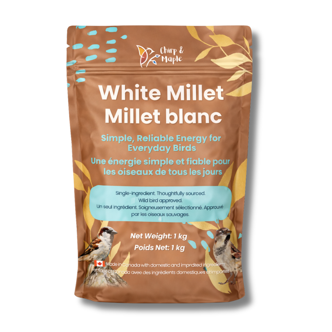 White Millet