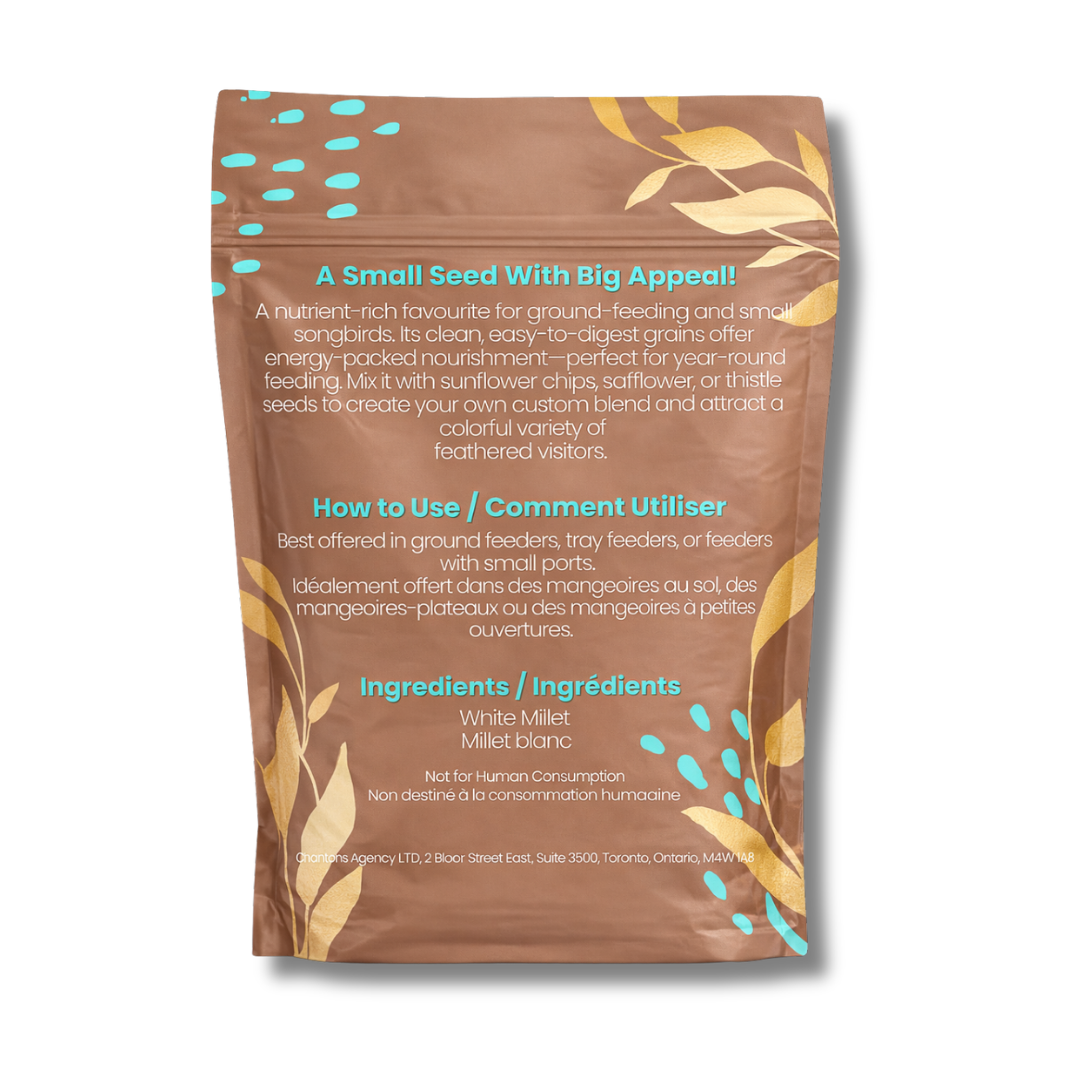 White Millet