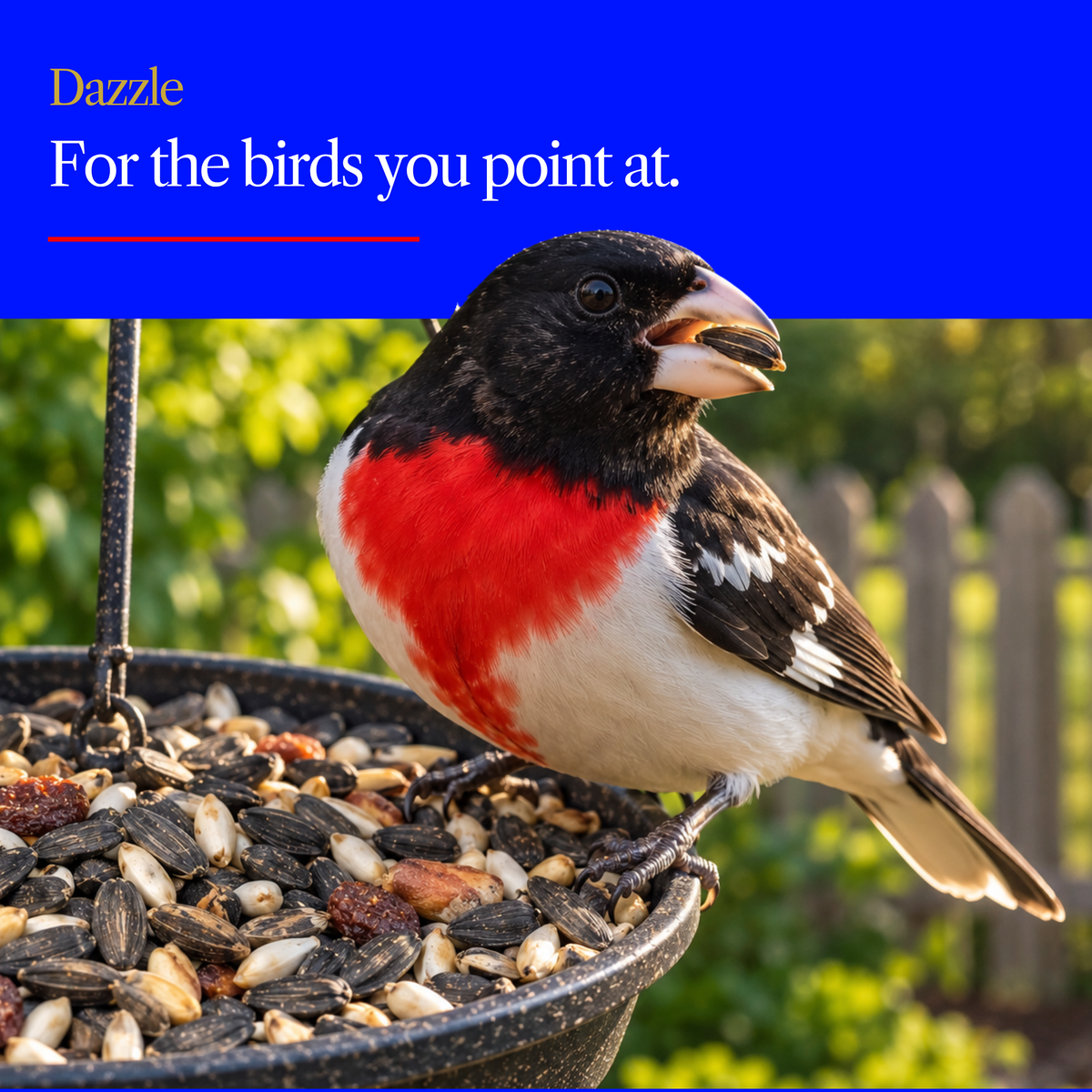 Dazzle Wild Bird Seed Mix – Fruit, Nut & Sunflower Blend