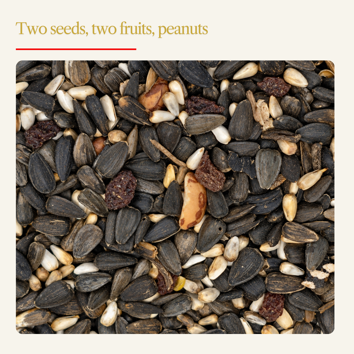 Dazzle Wild Bird Seed Mix – Fruit, Nut & Sunflower Blend