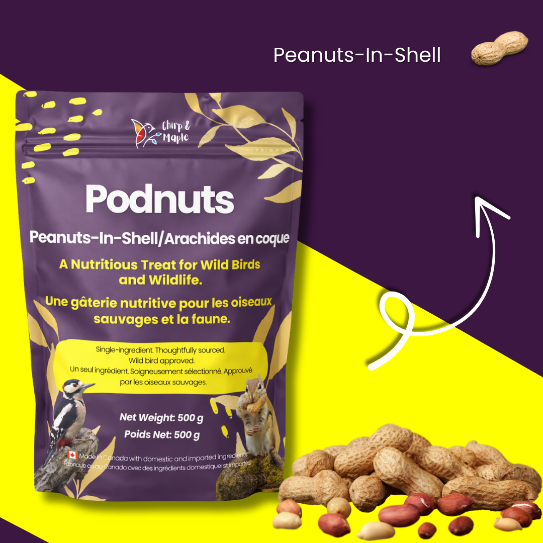 Podnuts - Peanuts in Shell