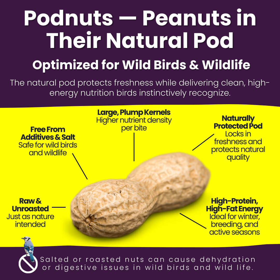 Podnuts - Peanuts in Shell