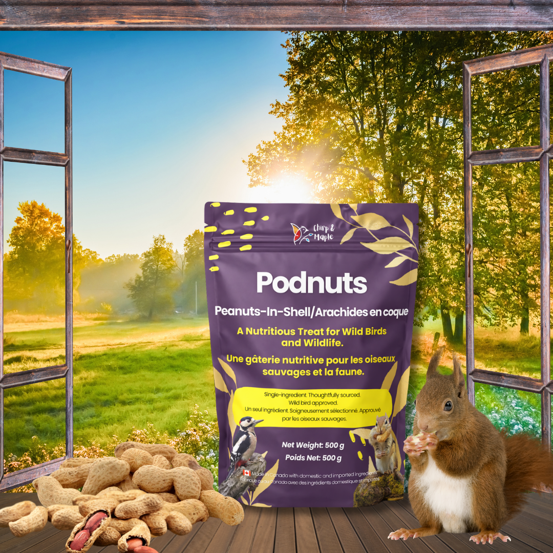 Podnuts - Peanuts in Shell