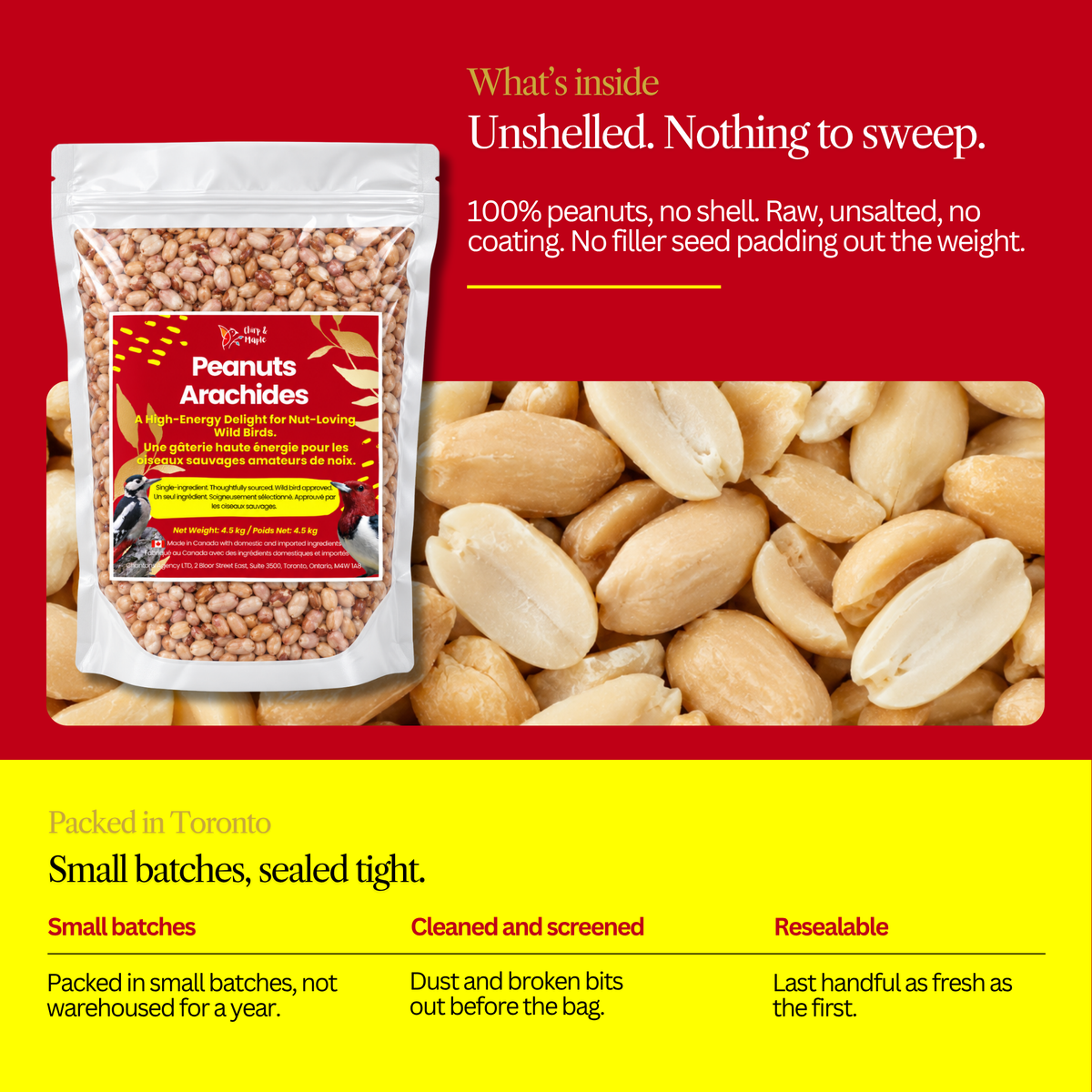 Peanuts for Wild Birds – High Protein, No Salt or Additives