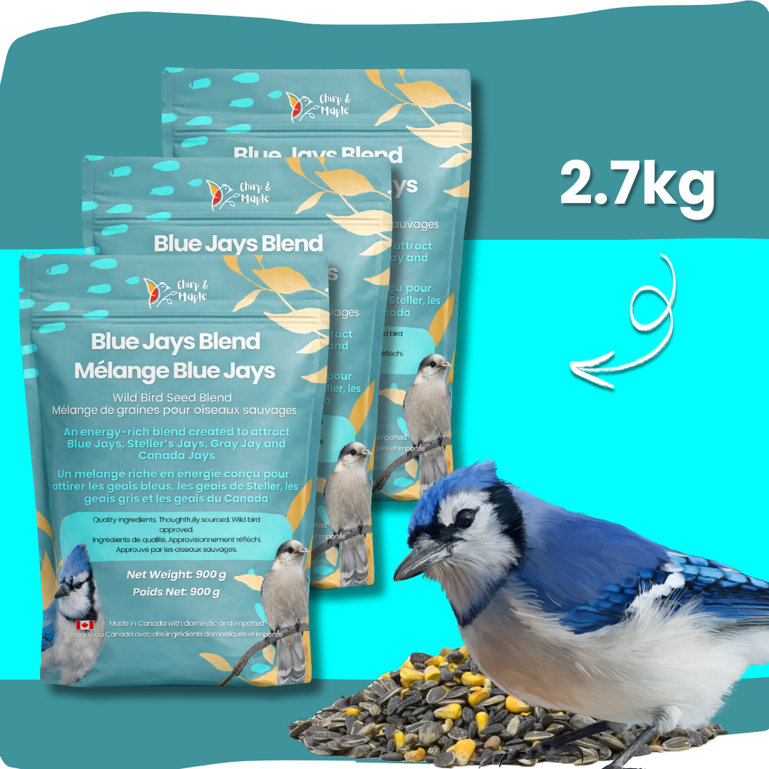 Blue Jays Blend