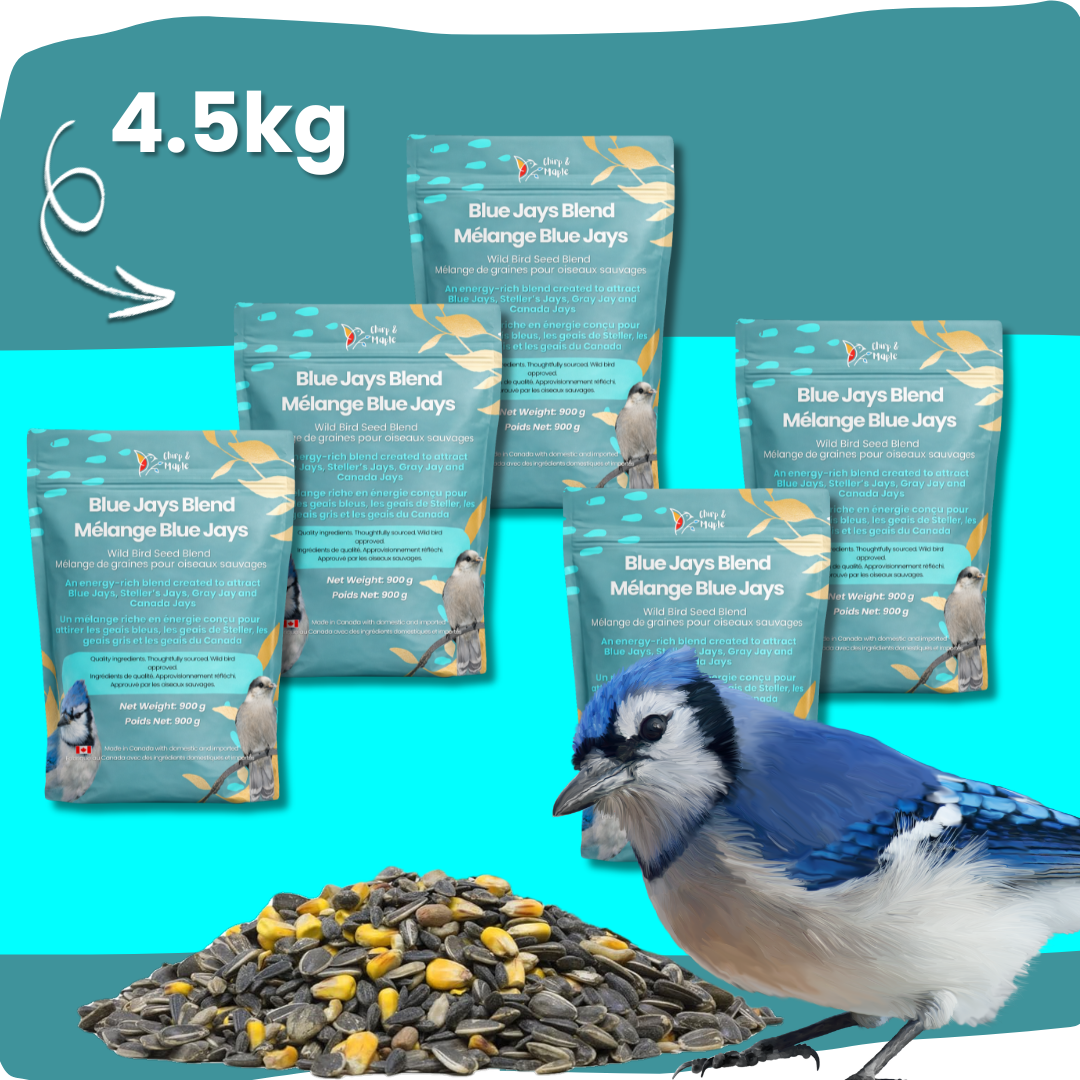 Blue Jays Blend